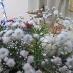 IMG 9447
