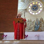 IMG 6959