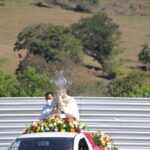IMG 7338