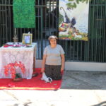 IMG 7350