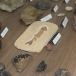 IMG 7904