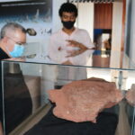 IMG 7915