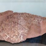 IMG 7917