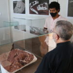 IMG 7920