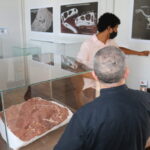 IMG 7921