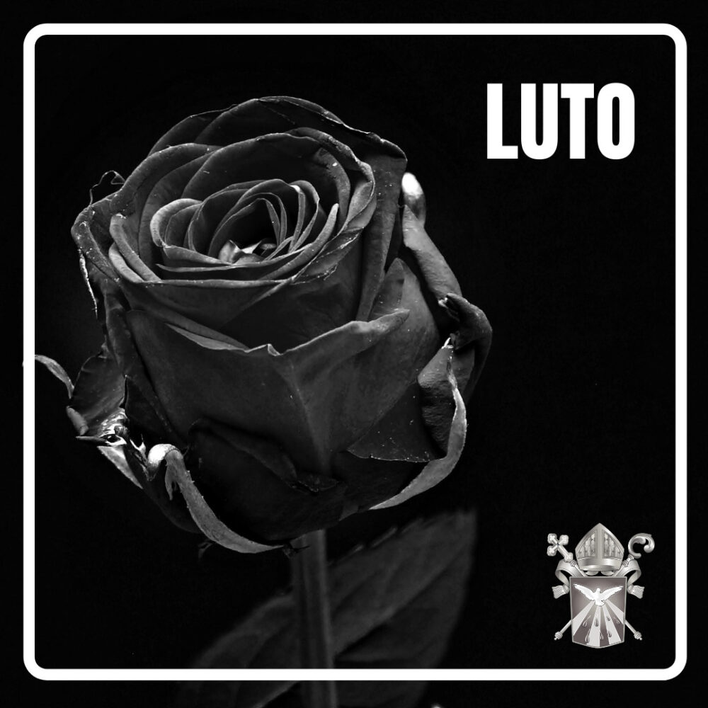 LUTO 1