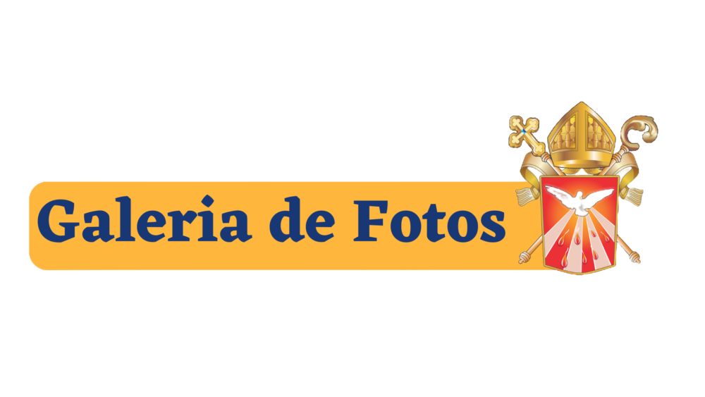 Galeria de fotos Sem fundo