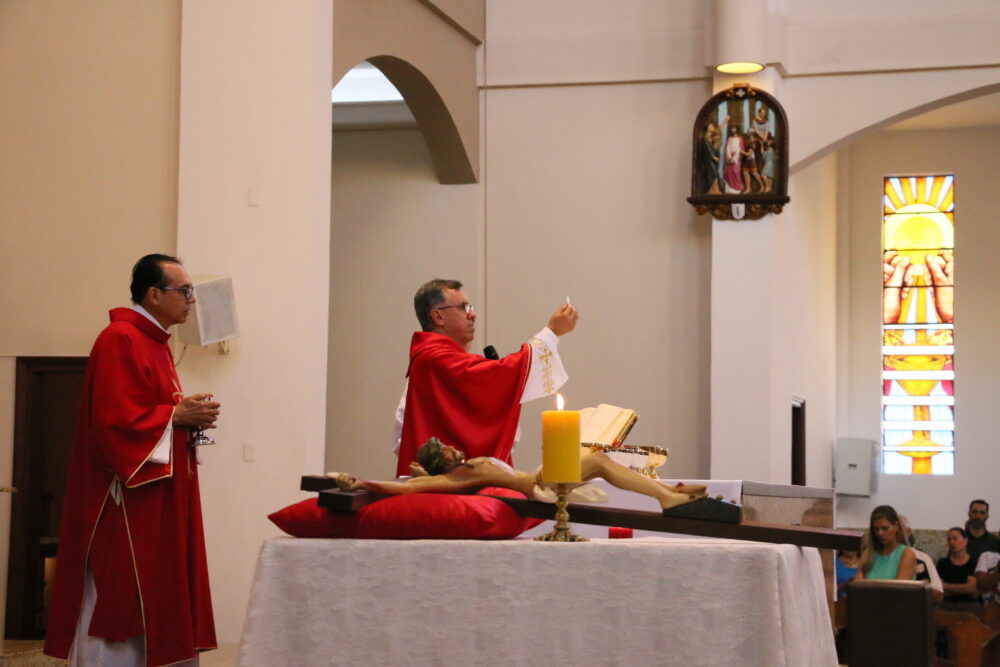 IMG 4551
