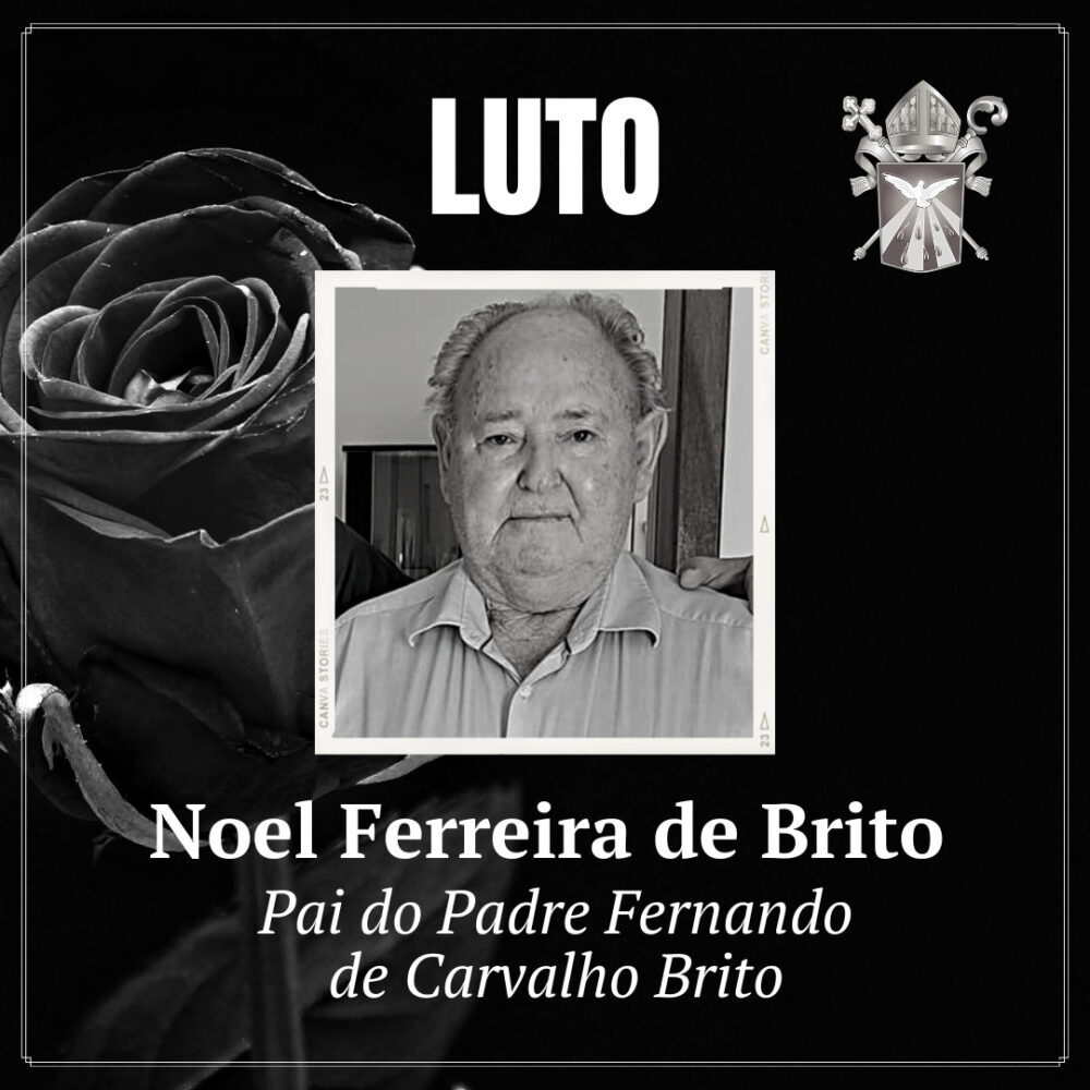 LUTO 5