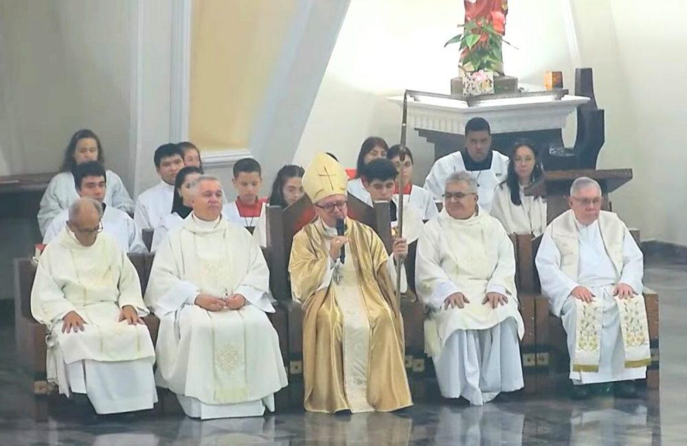 Capa natal