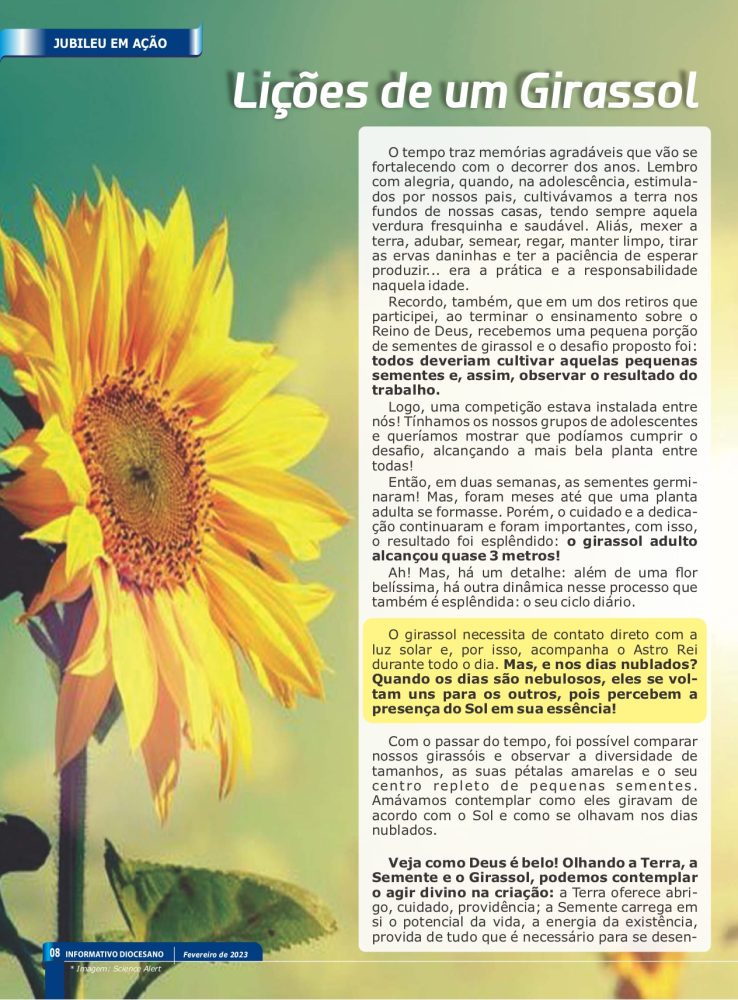 2023 01 Fevereiro page 0008