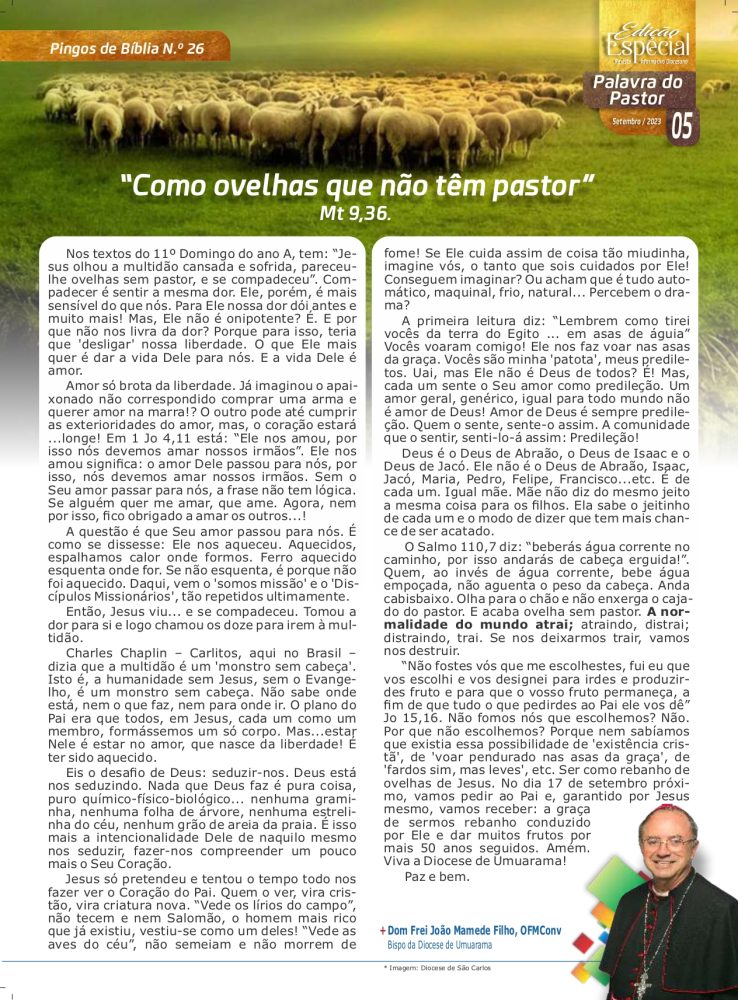 RID setembro 2023 especial page 0005