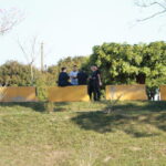 IMG 9357