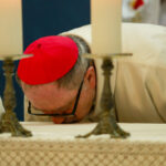 IMG 9521 1