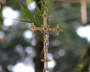 WhatsApp Image 2026 03 29 at 13.47.37