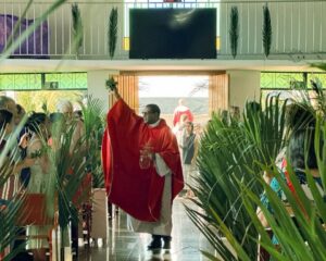 WhatsApp Image 2026 03 29 at 14.26.48 1