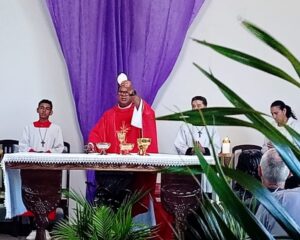 WhatsApp Image 2026 03 29 at 14.26.50 1