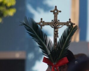 WhatsApp Image 2026 03 29 at 15.35.29 1