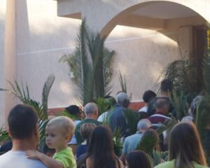 WhatsApp Image 2026 03 29 at 15.35.30