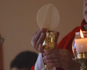 WhatsApp Image 2026 03 29 at 15.35.31 1