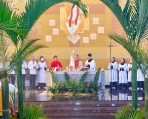 WhatsApp Image 2026 03 29 at 15.49.54