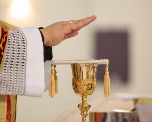 WhatsApp Image 2026 04 03 at 01.55.51