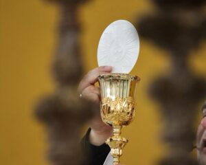 WhatsApp Image 2026 04 03 at 01.55.53