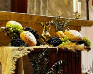 WhatsApp Image 2026 04 03 at 09.02.14