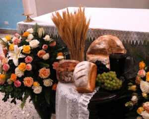 WhatsApp Image 2026 04 03 at 10.03.37