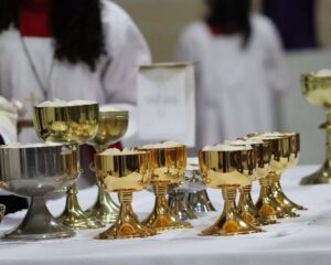 WhatsApp Image 2026 04 03 at 10.45.44 1