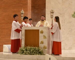 WhatsApp Image 2026 04 03 at 13.34.50