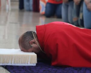 WhatsApp Image 2026 04 03 at 17.05.46