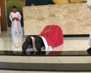 WhatsApp Image 2026 04 03 at 19.06.21 1