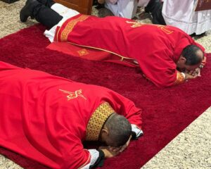 WhatsApp Image 2026 04 03 at 19.49.01