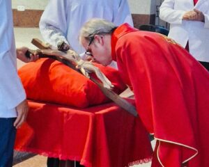 WhatsApp Image 2026 04 03 at 22.07.56