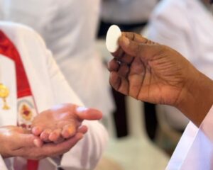 WhatsApp Image 2026 04 03 at 23.12.25 2