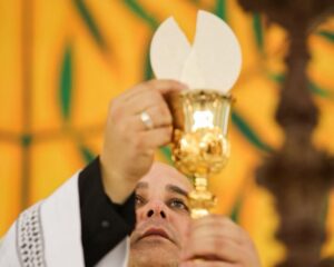 WhatsApp Image 2026 04 05 at 02.17.59