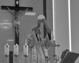 WhatsApp Image 2026 04 06 at 00.06.36